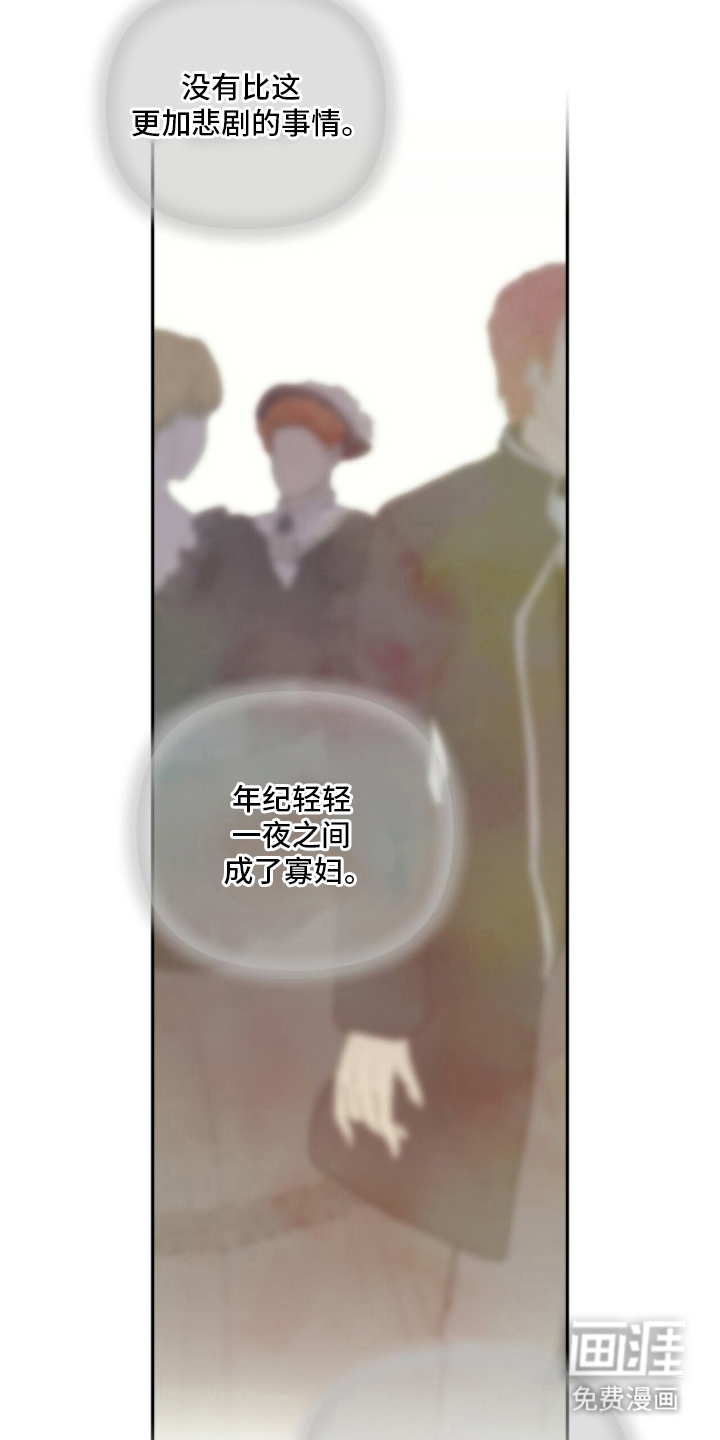 夫人的战争漫画-图16