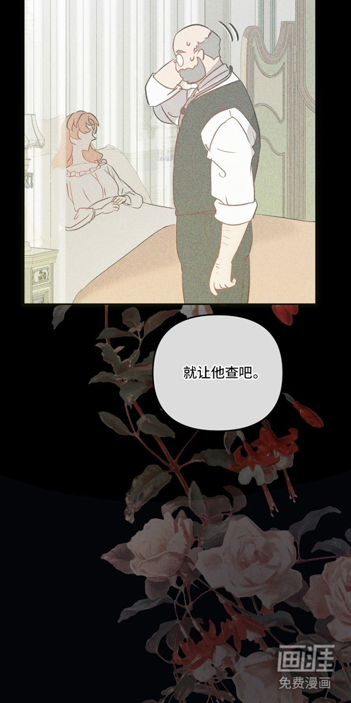 夫人的战争漫画-图12