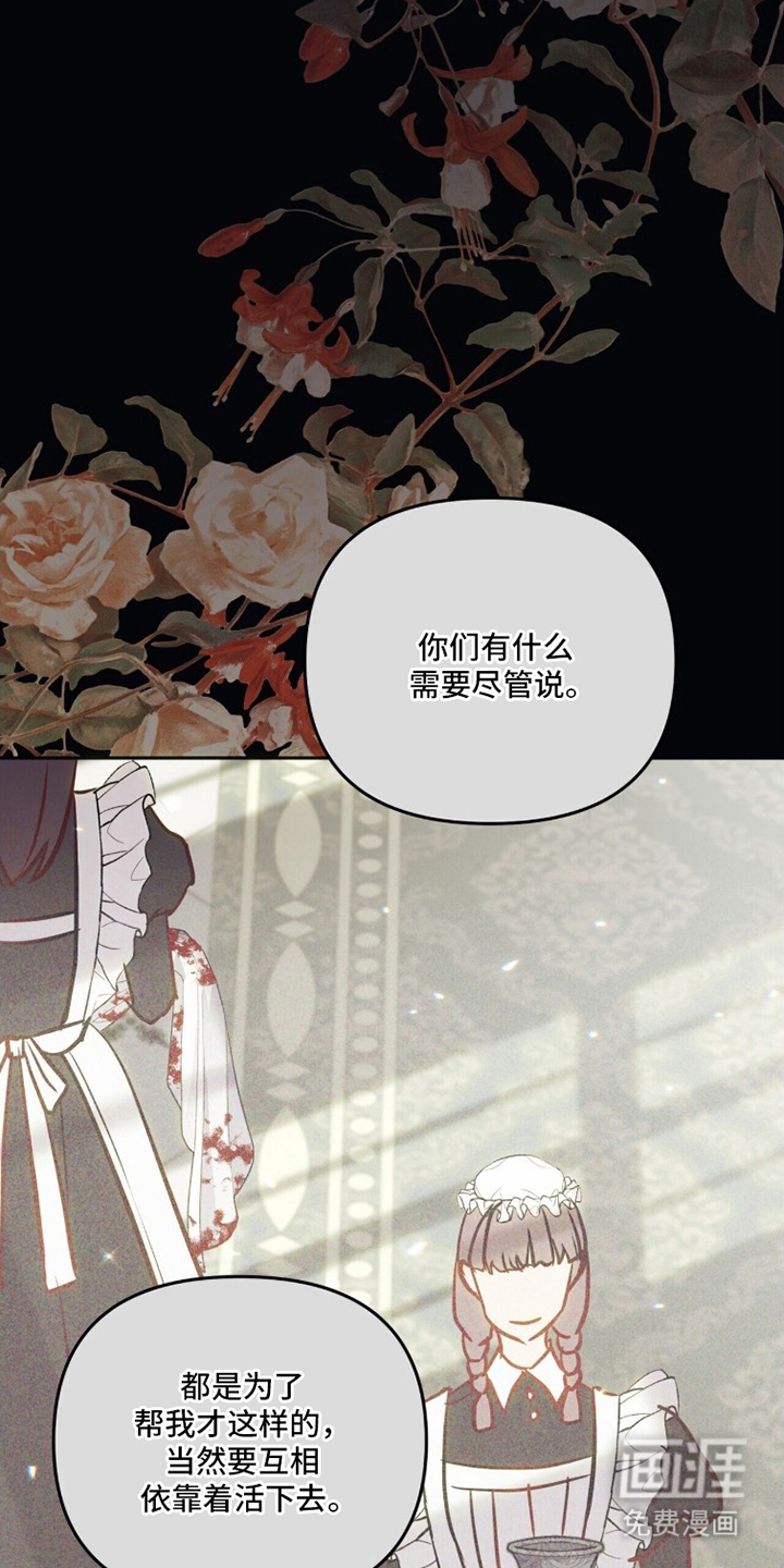 夫人的战争漫画-图13