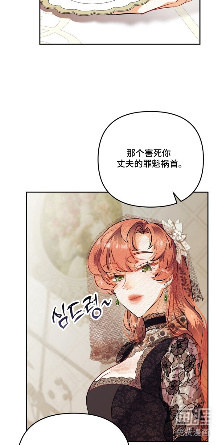 夫人的战争漫画-图20