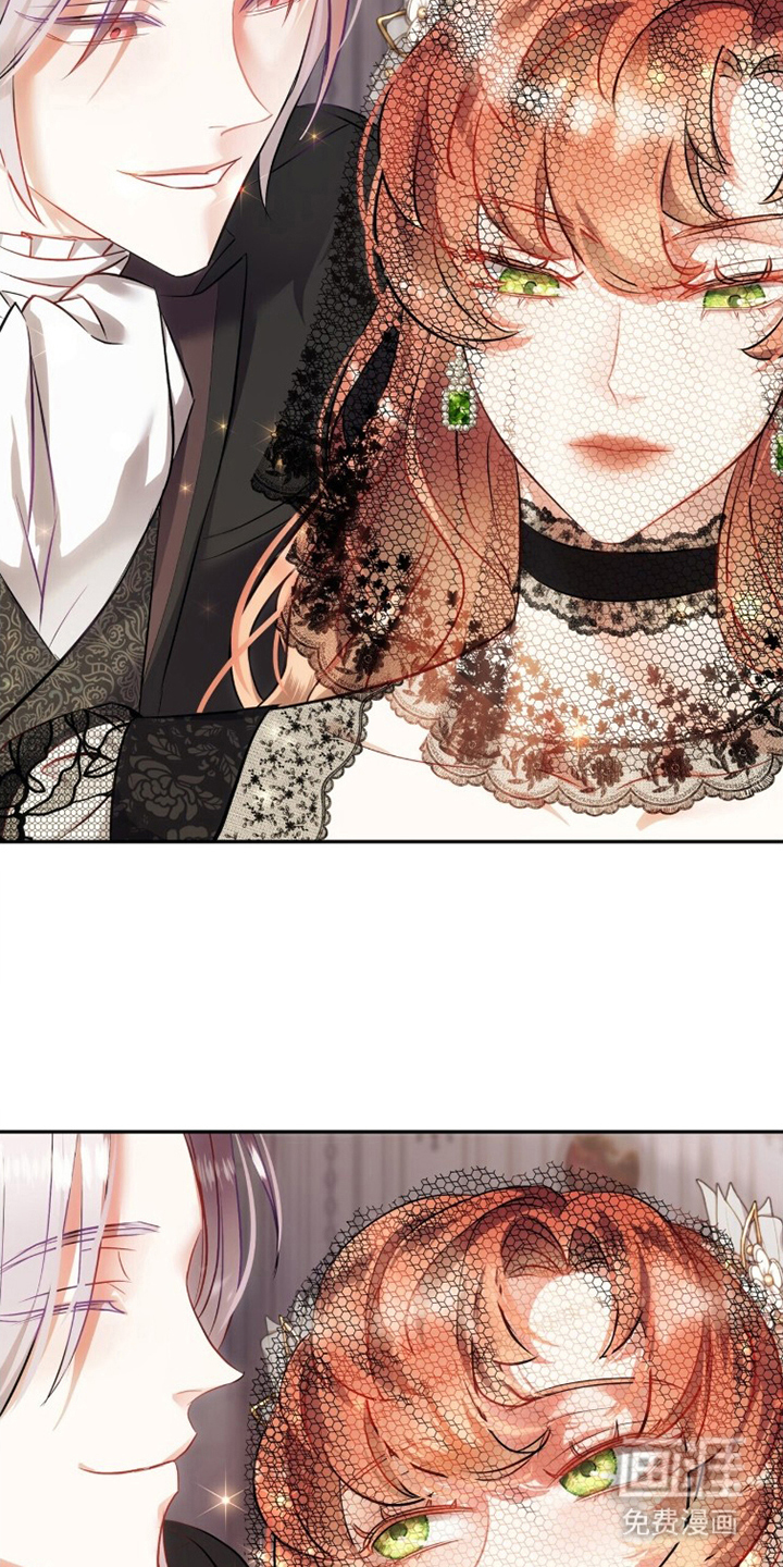 夫人的战争漫画-图6