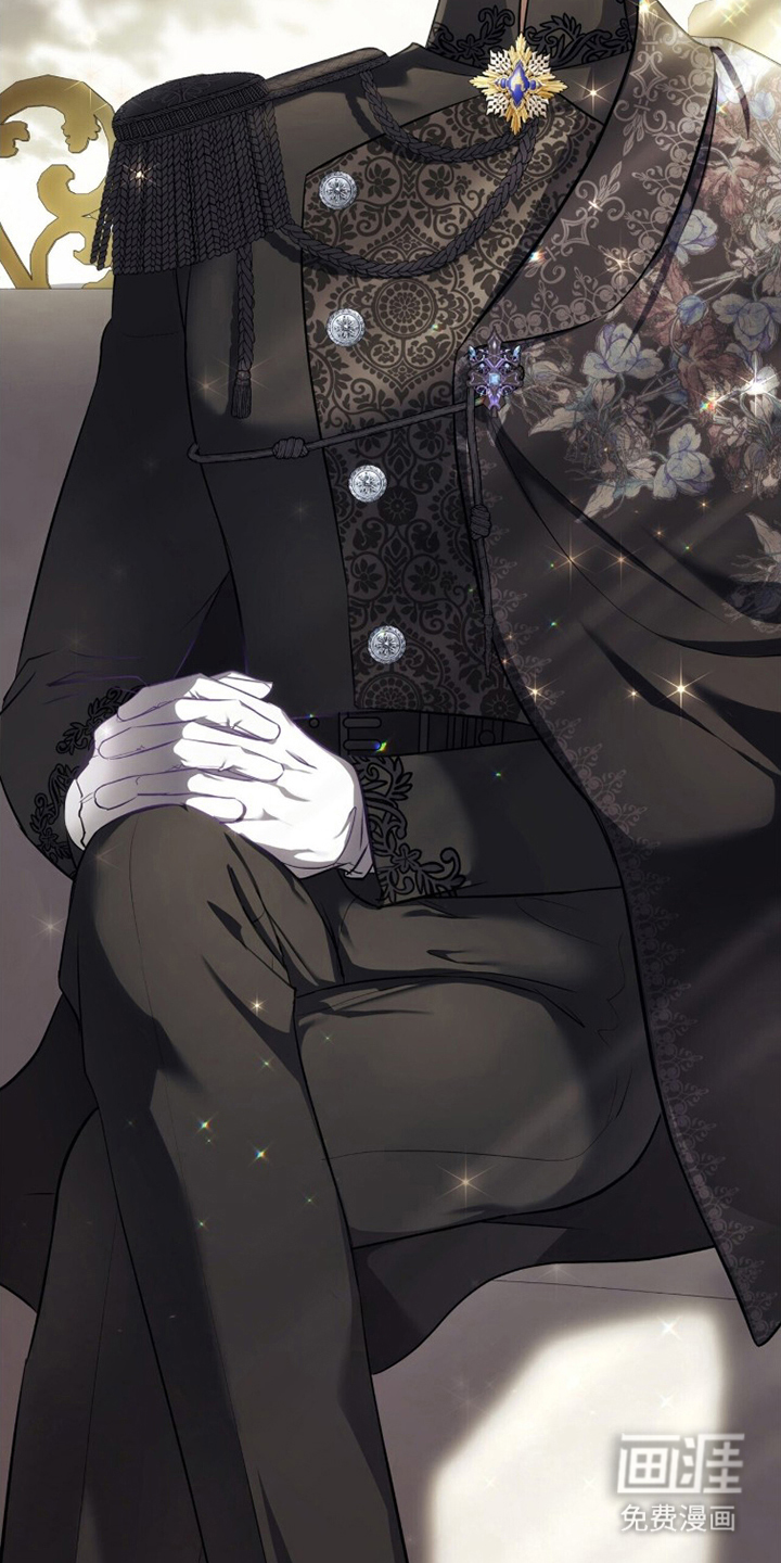 夫人的战争漫画-图8