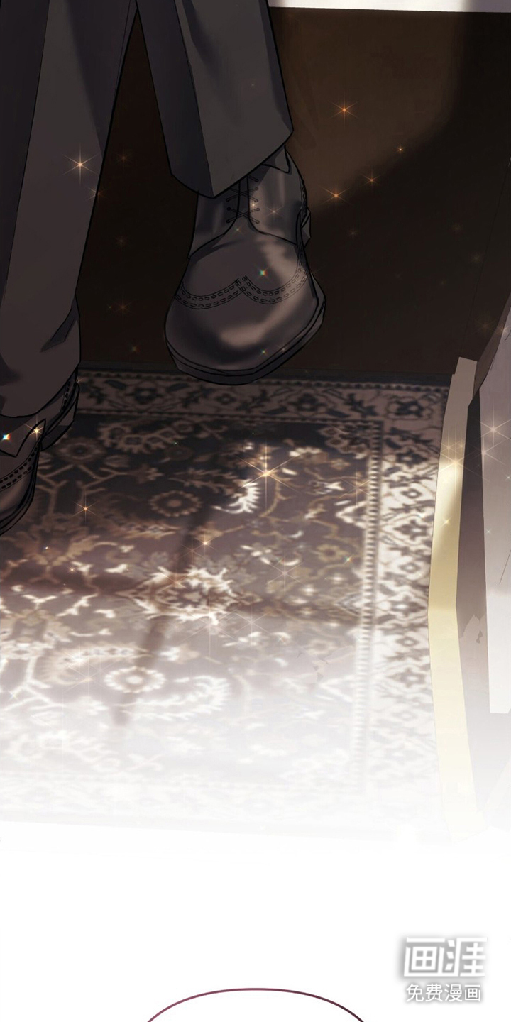 夫人的战争漫画-图9