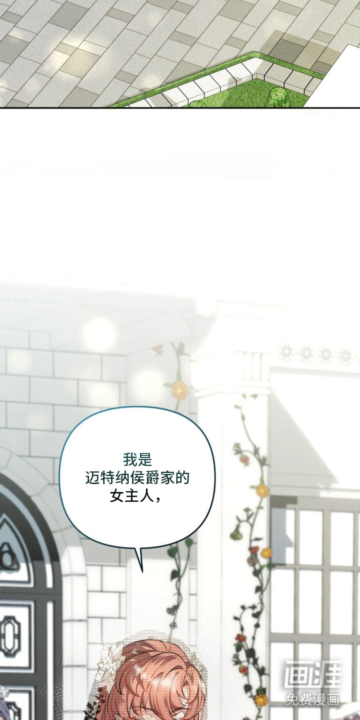 夫人的战争漫画-图22