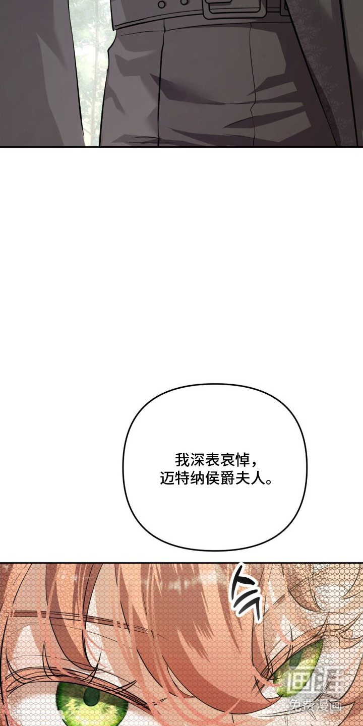 夫人的战争漫画-图26