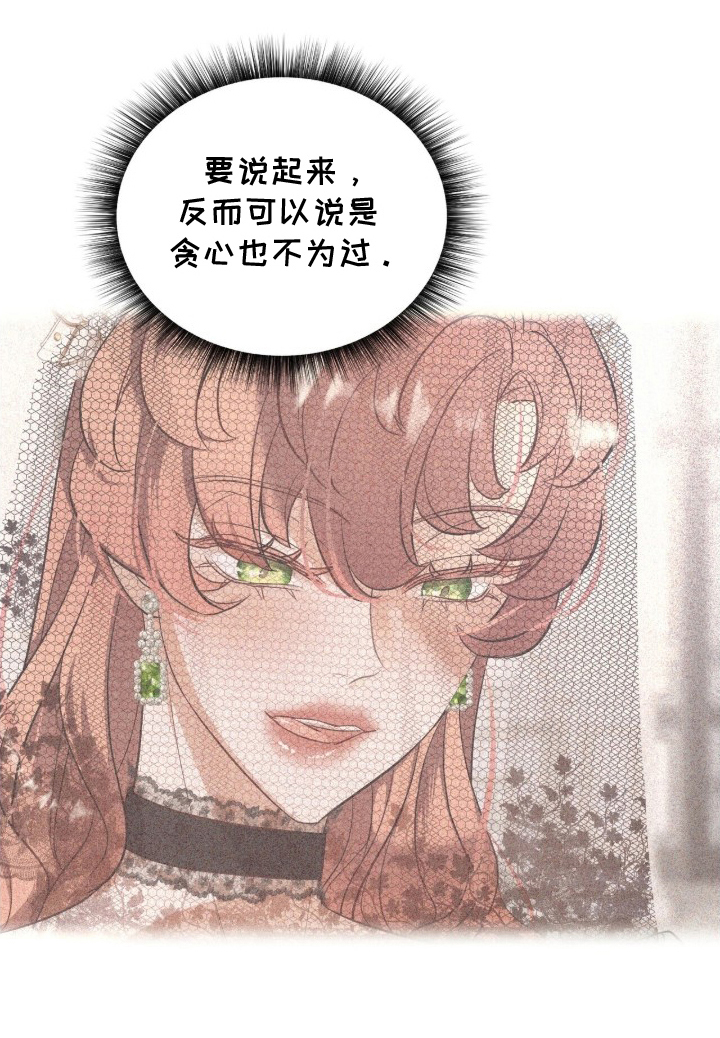 夫人的战争漫画-图12