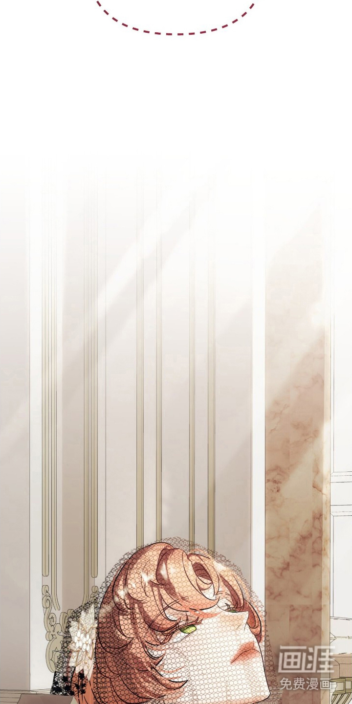 夫人的战争漫画-图16