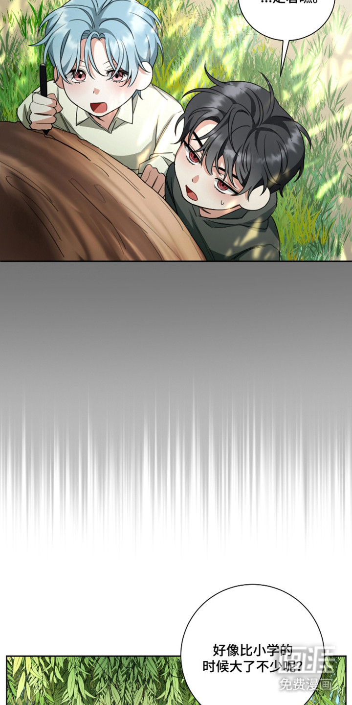 分手也要演漫画-图12