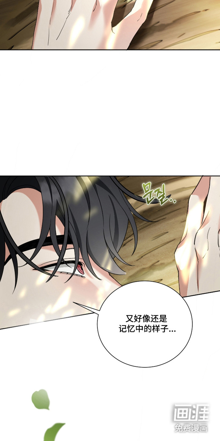 分手也要演漫画-图14