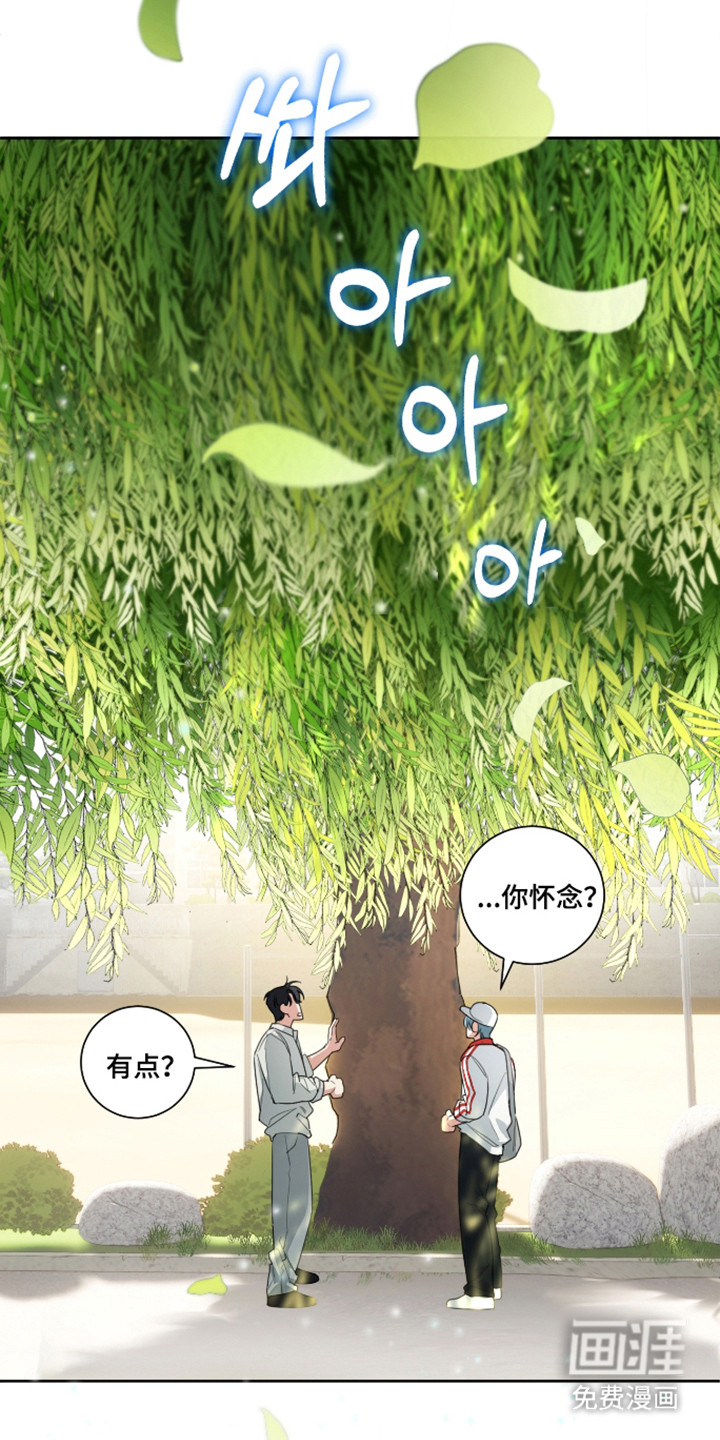 分手也要演漫画-图15