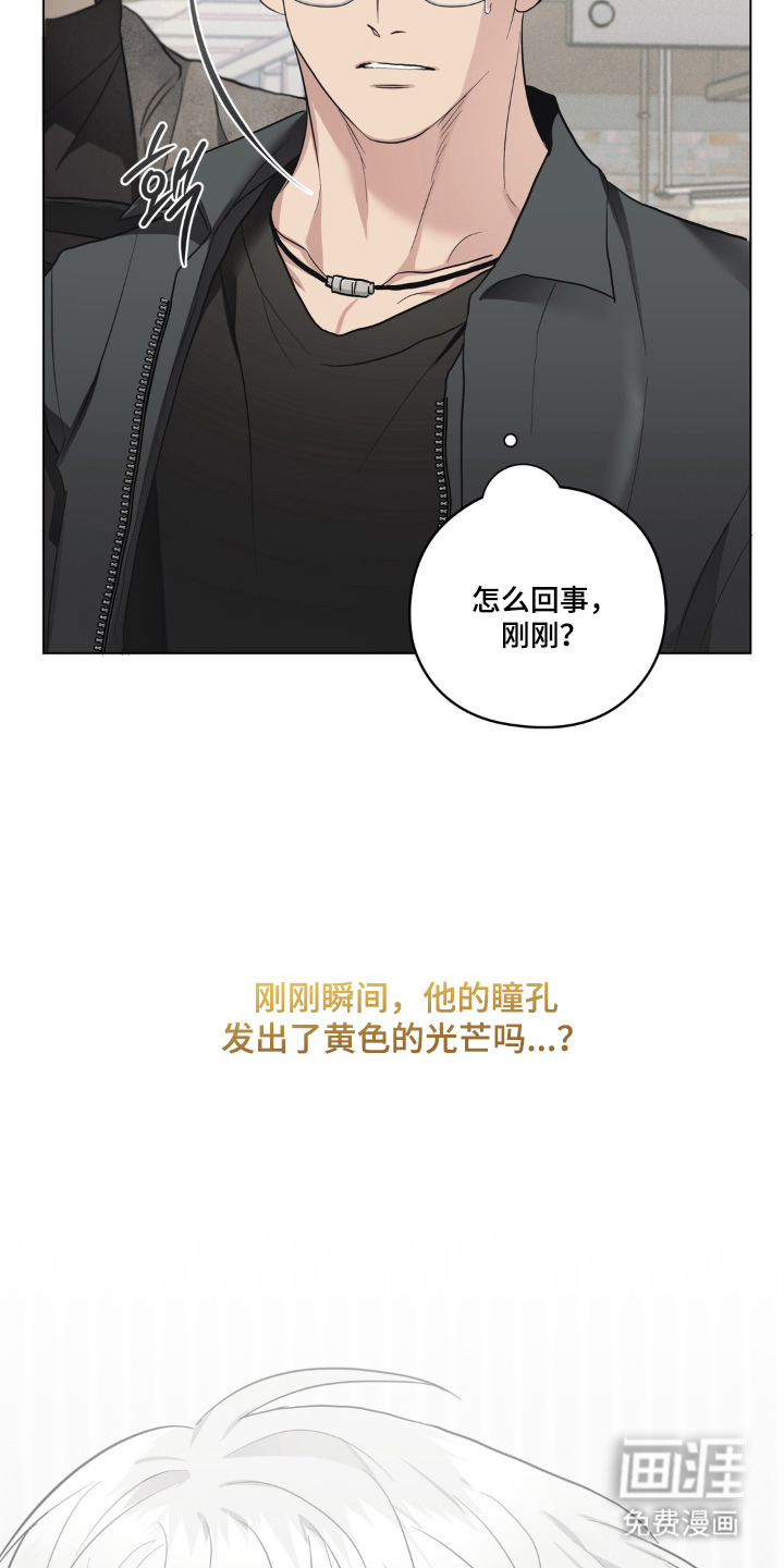 非人之恋漫画-图9