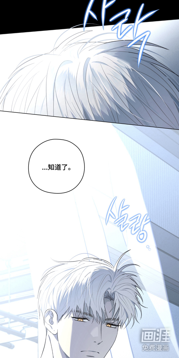 非人之恋漫画-图7