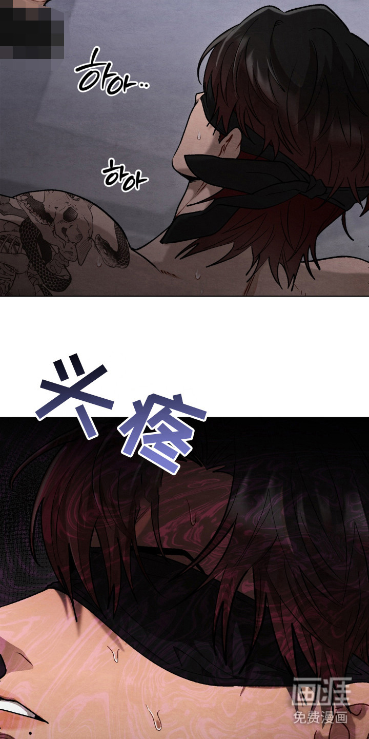 复仇驯养漫画-图4