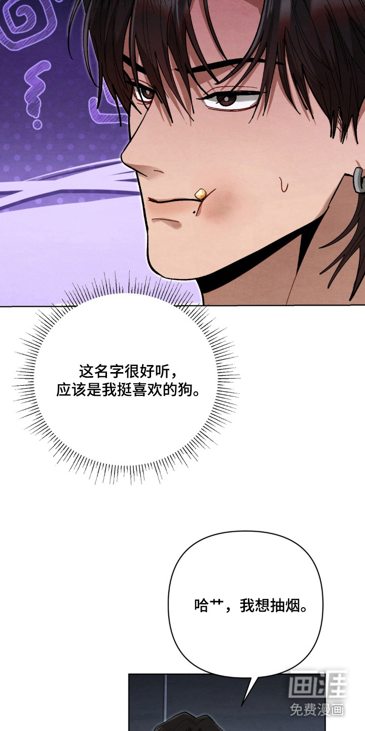 复仇驯养漫画-图18