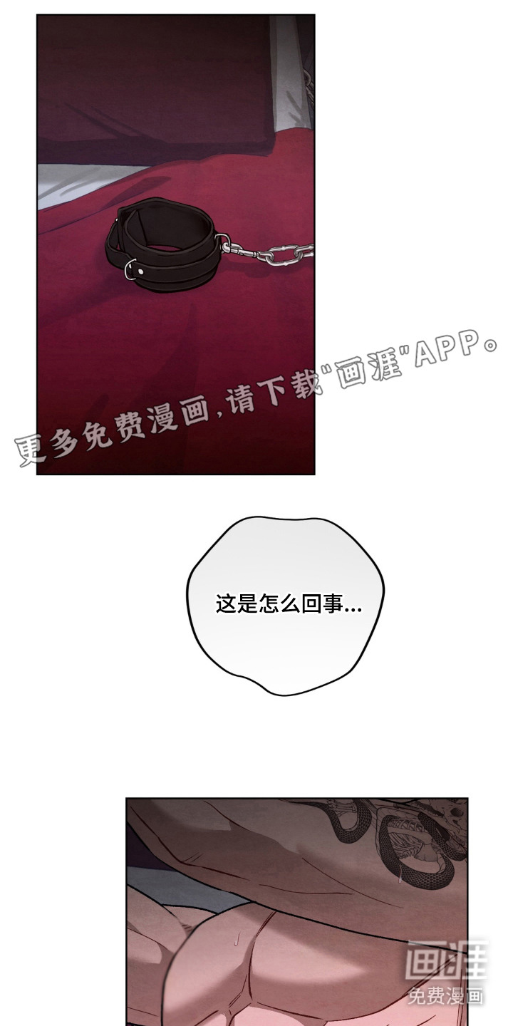 复仇驯养漫画-图11