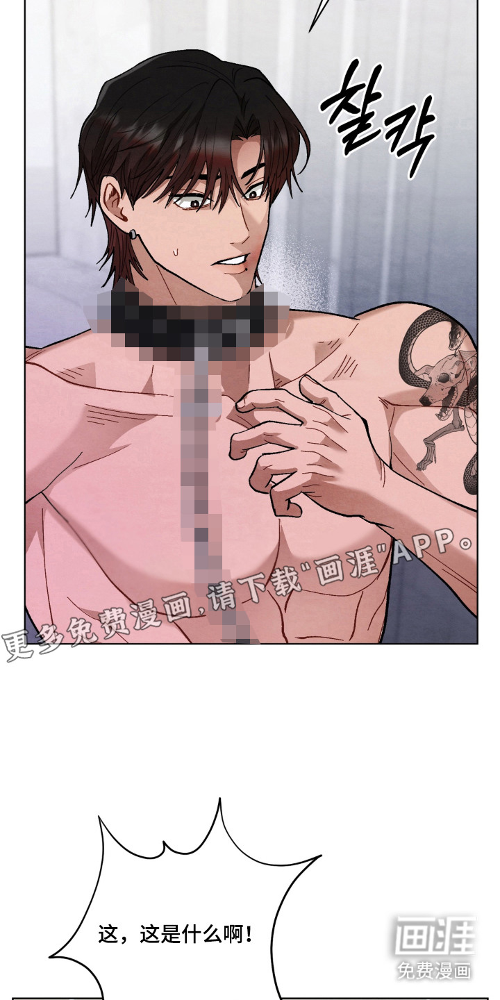 复仇驯养漫画-图12