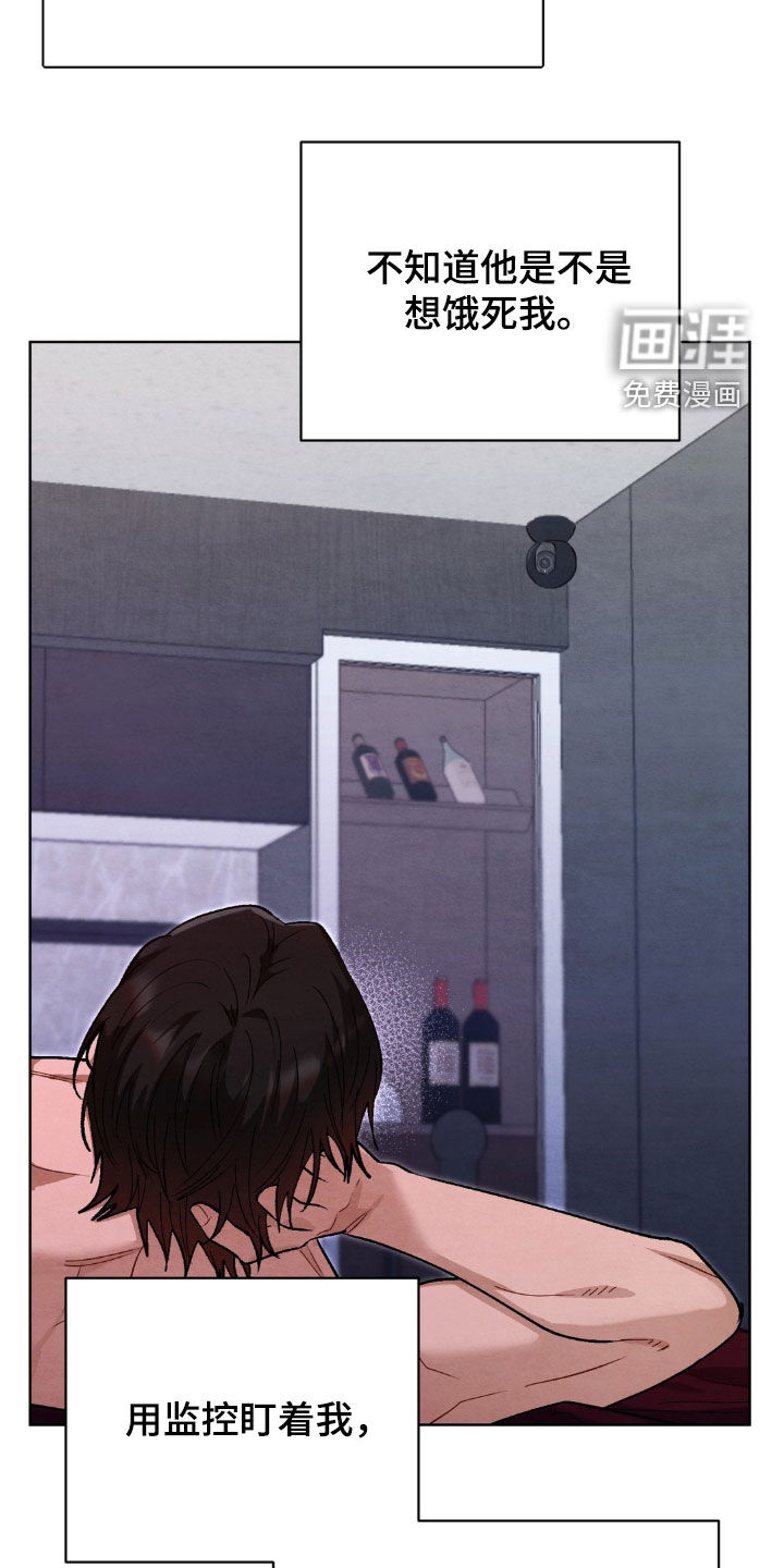 复仇驯养漫画-图13