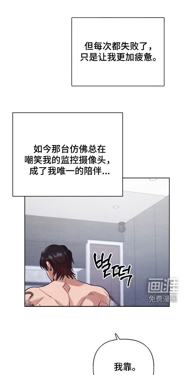 复仇驯养漫画-图16