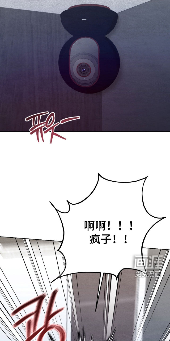 复仇驯养漫画-图24
