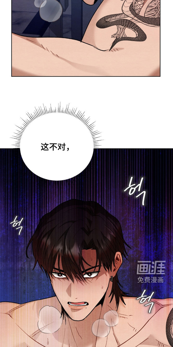 复仇驯养漫画-图26