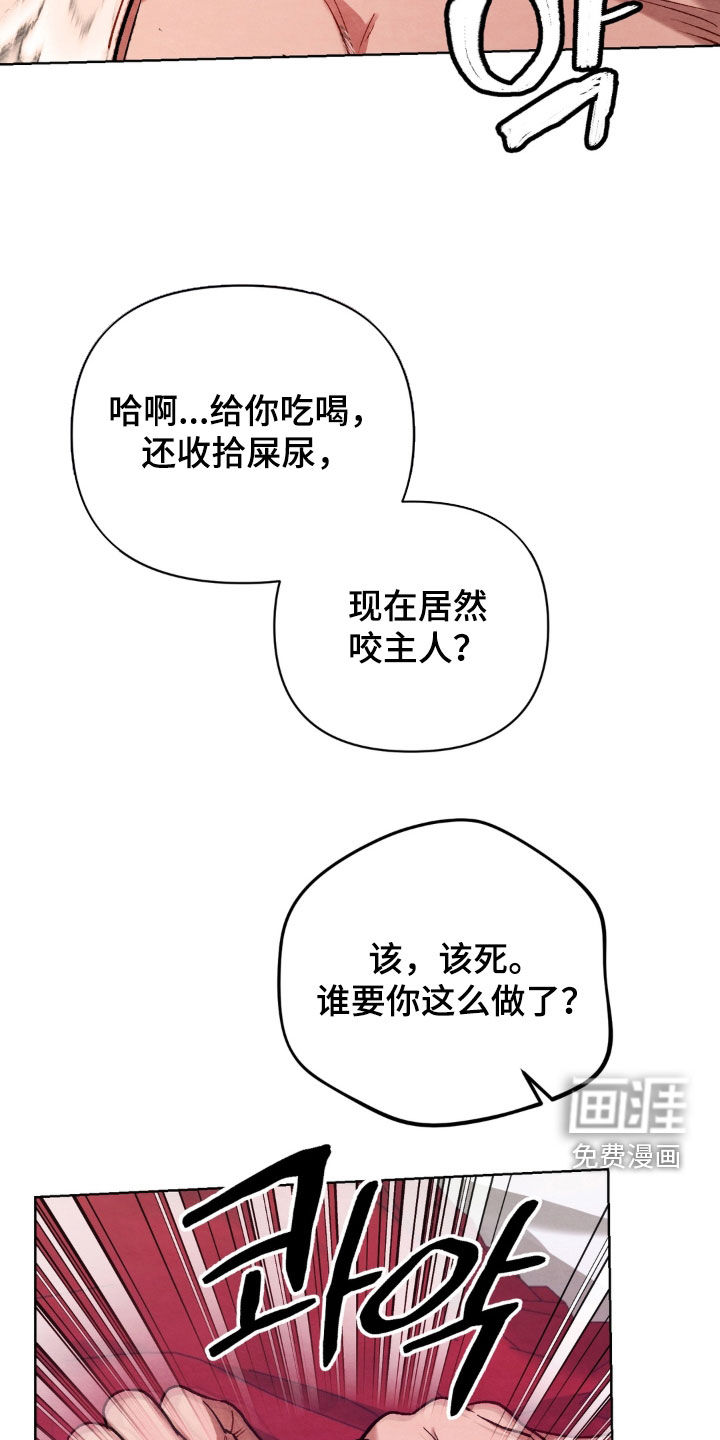 复仇驯养漫画-图22
