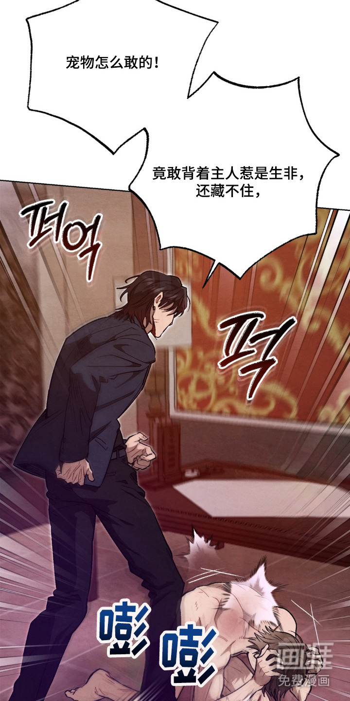 复仇驯养漫画-图11