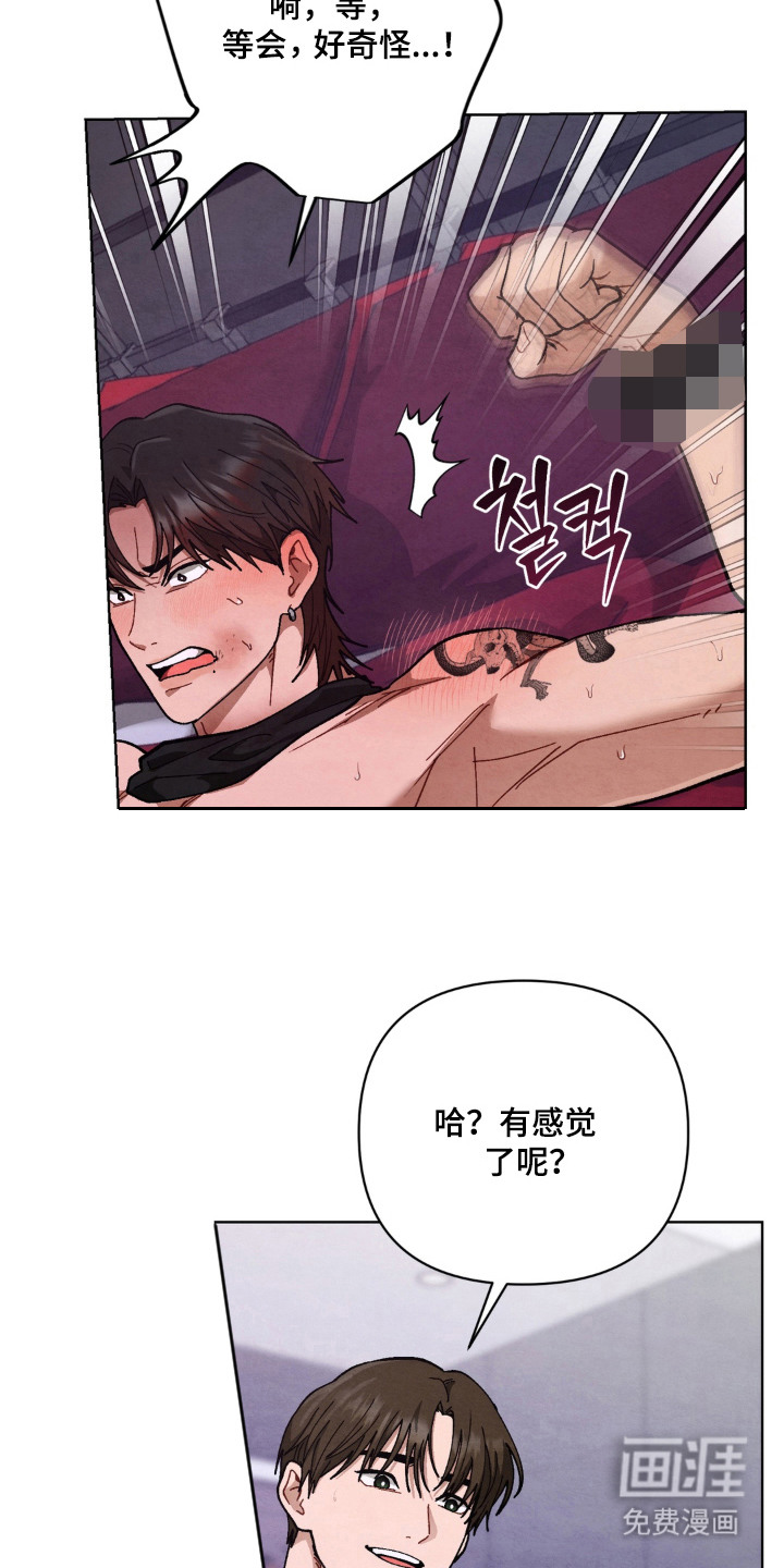 复仇驯养漫画-图20