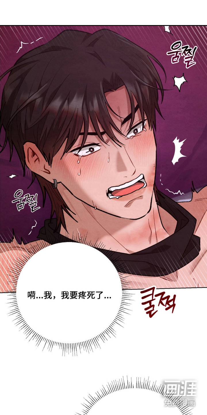 复仇驯养漫画-图24