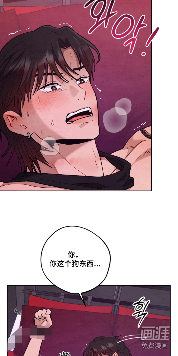 复仇驯养漫画-图1