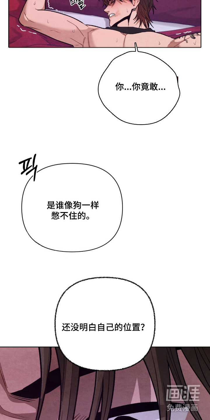 复仇驯养漫画-图2