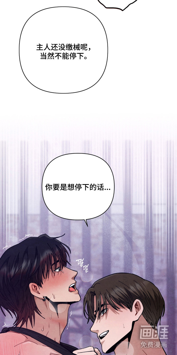 复仇驯养漫画-图8