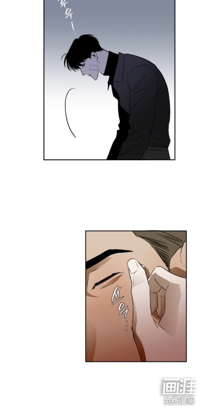 非自愿向导漫画-图14