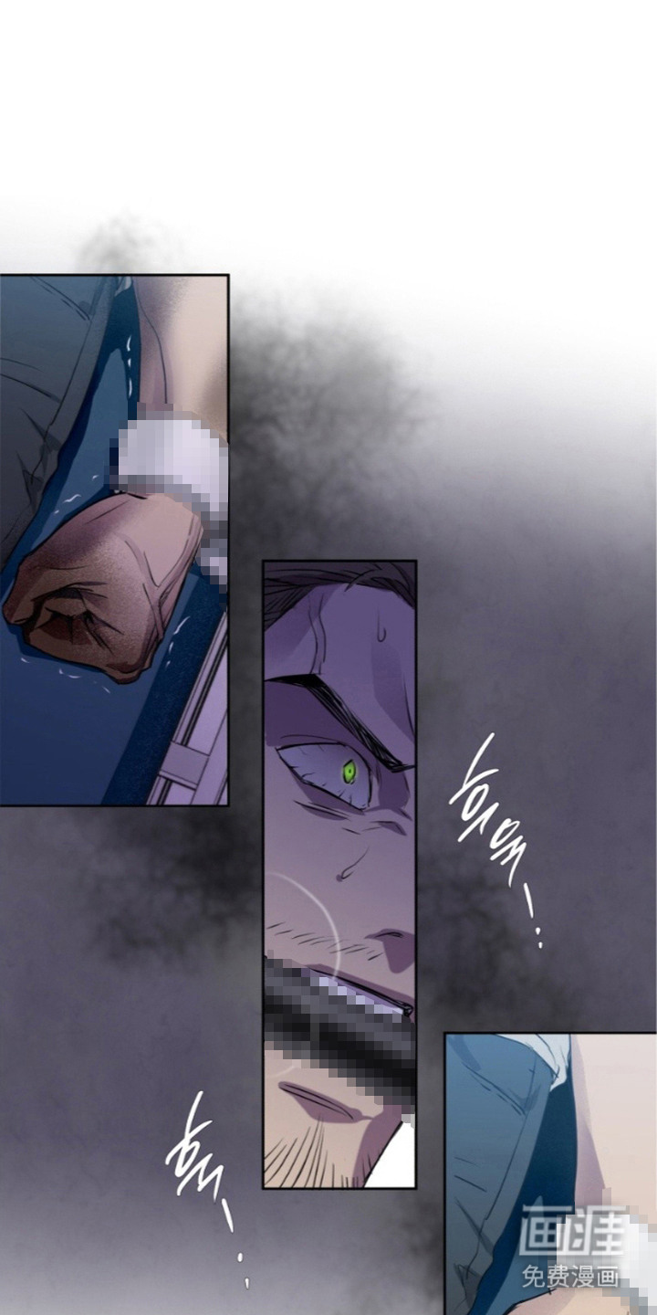 非自愿向导漫画-图0