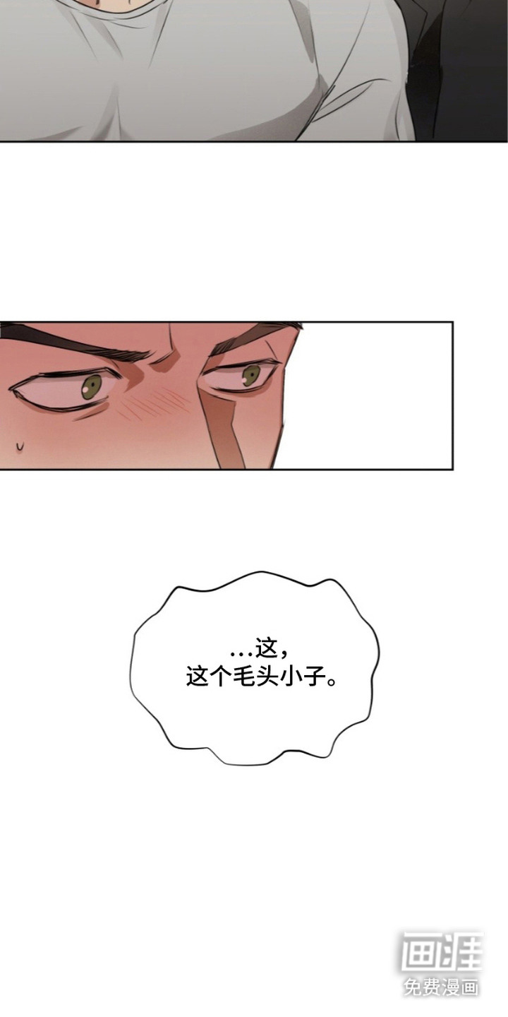 非自愿向导漫画-图4