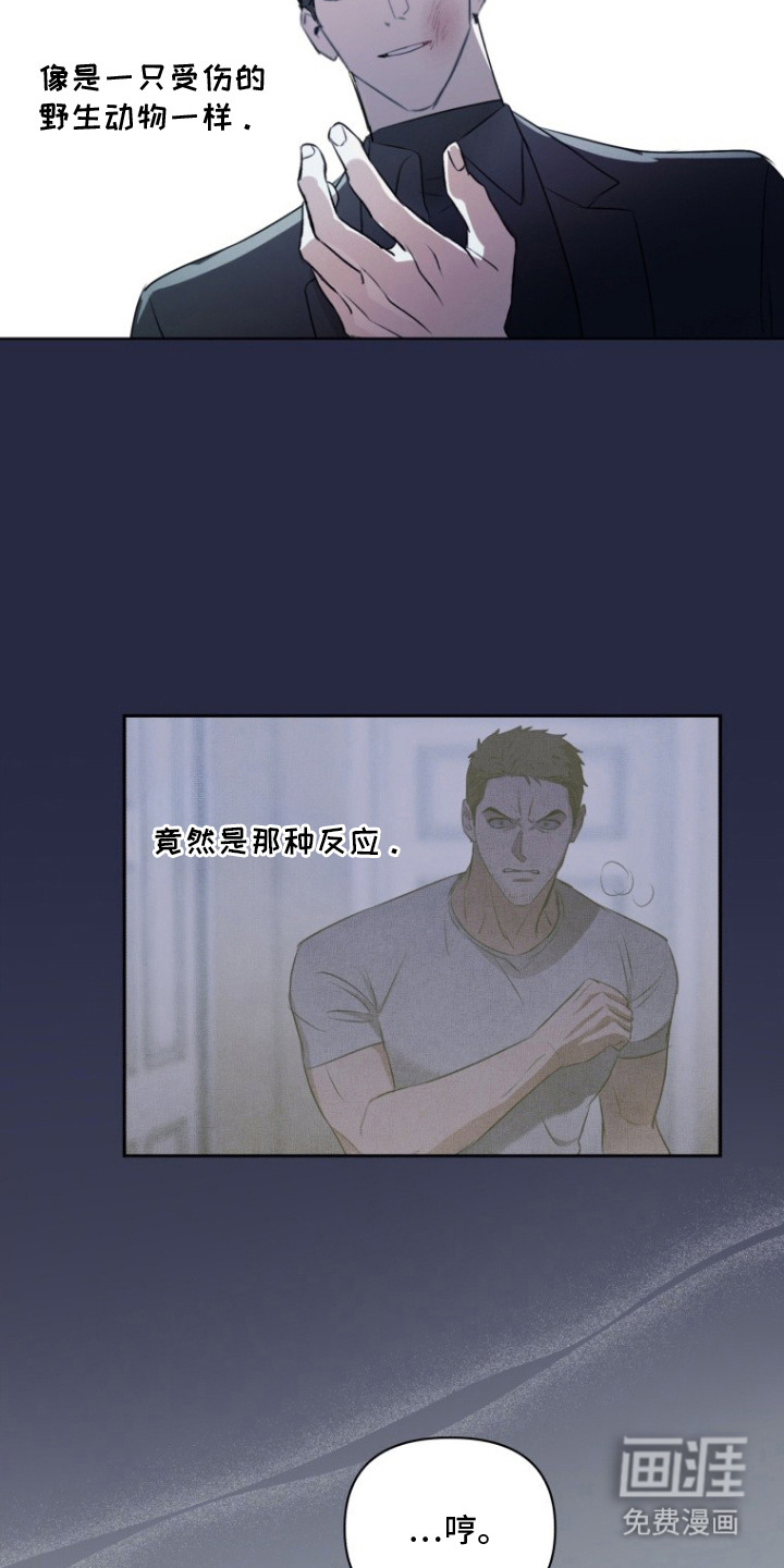 非自愿向导漫画-图22