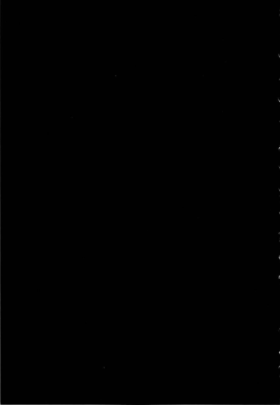 弗洛伊德施泰因的双子 第7话 第14页