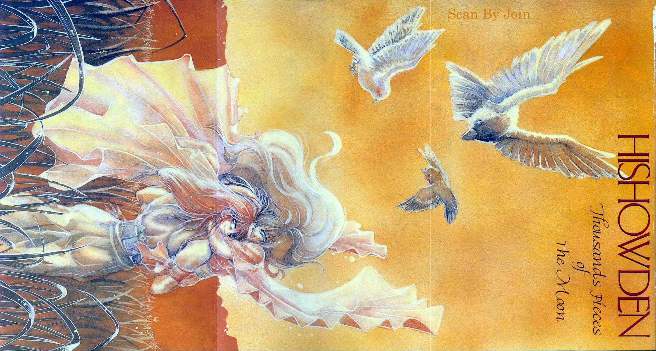 绯翔传说第6卷图