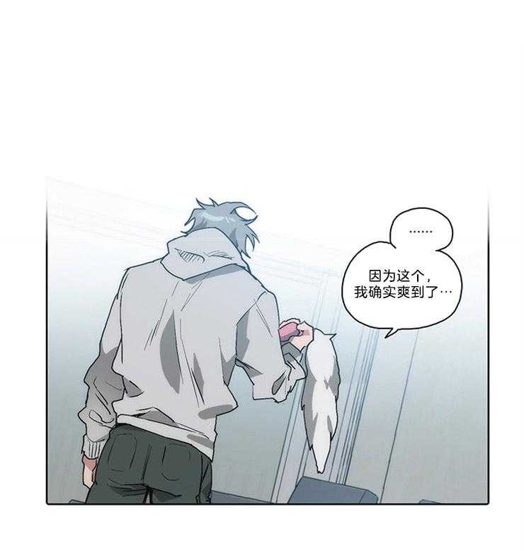 狗的一员第18话图