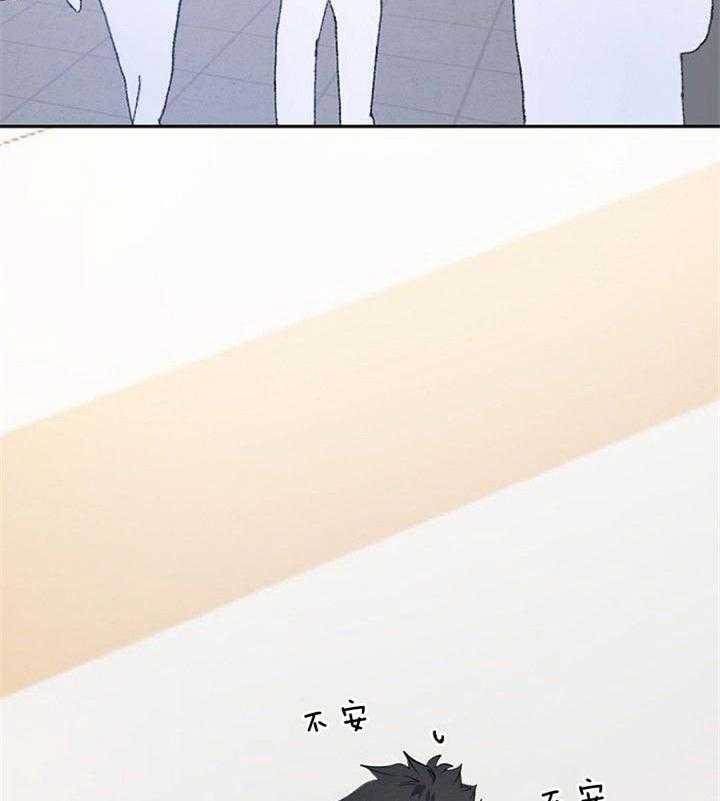 隔壁恋人第29话图