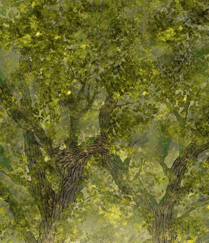 鬼胎（全集） 第160话 第20页