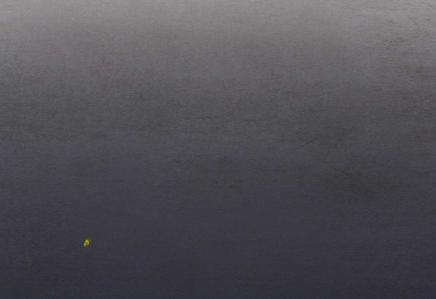 鬼胎（全集） 第173话 第19页