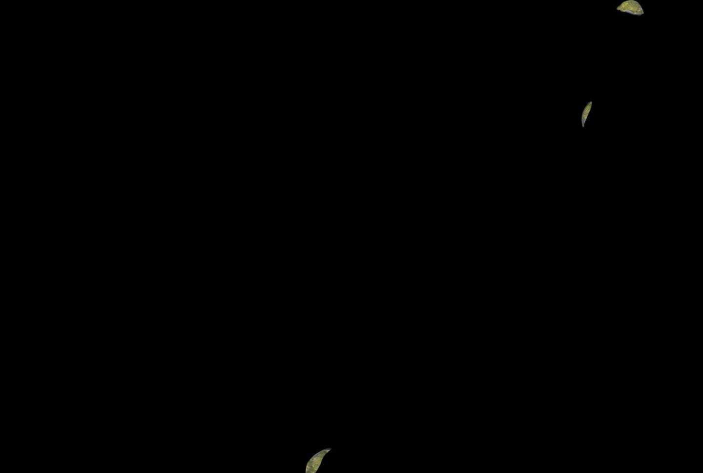 鬼胎（全集） 第175话 第50页