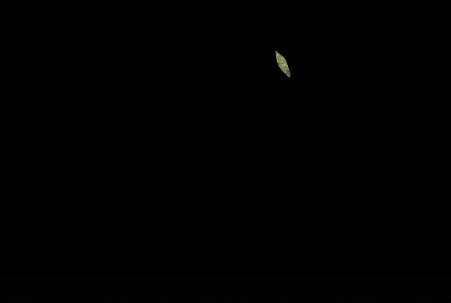 鬼胎（全集） 第175话 第59页