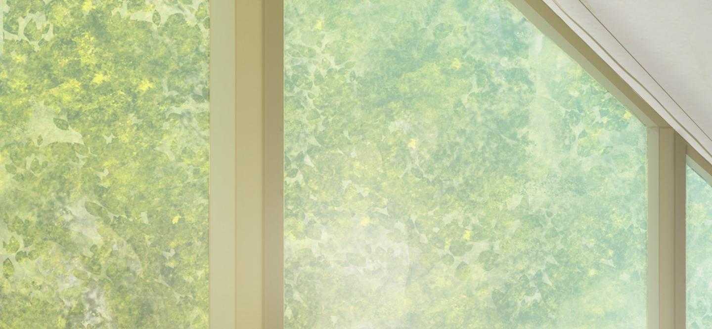 鬼胎（全集） 第178话 第28页