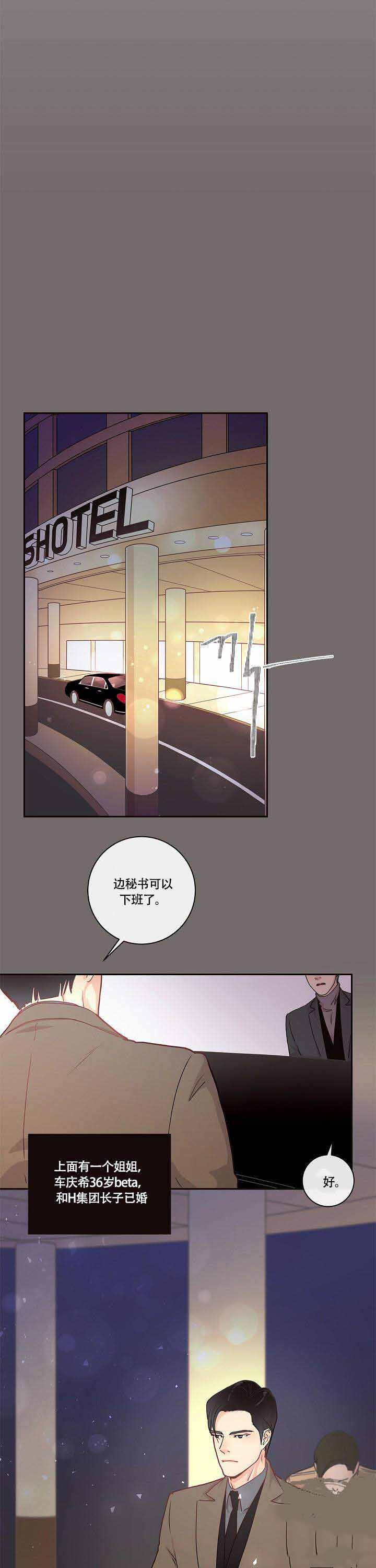 勾引alpha的方法（全集）第11话图