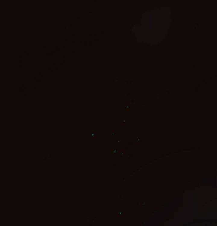 勾引alpha的方法（全集）第55话图