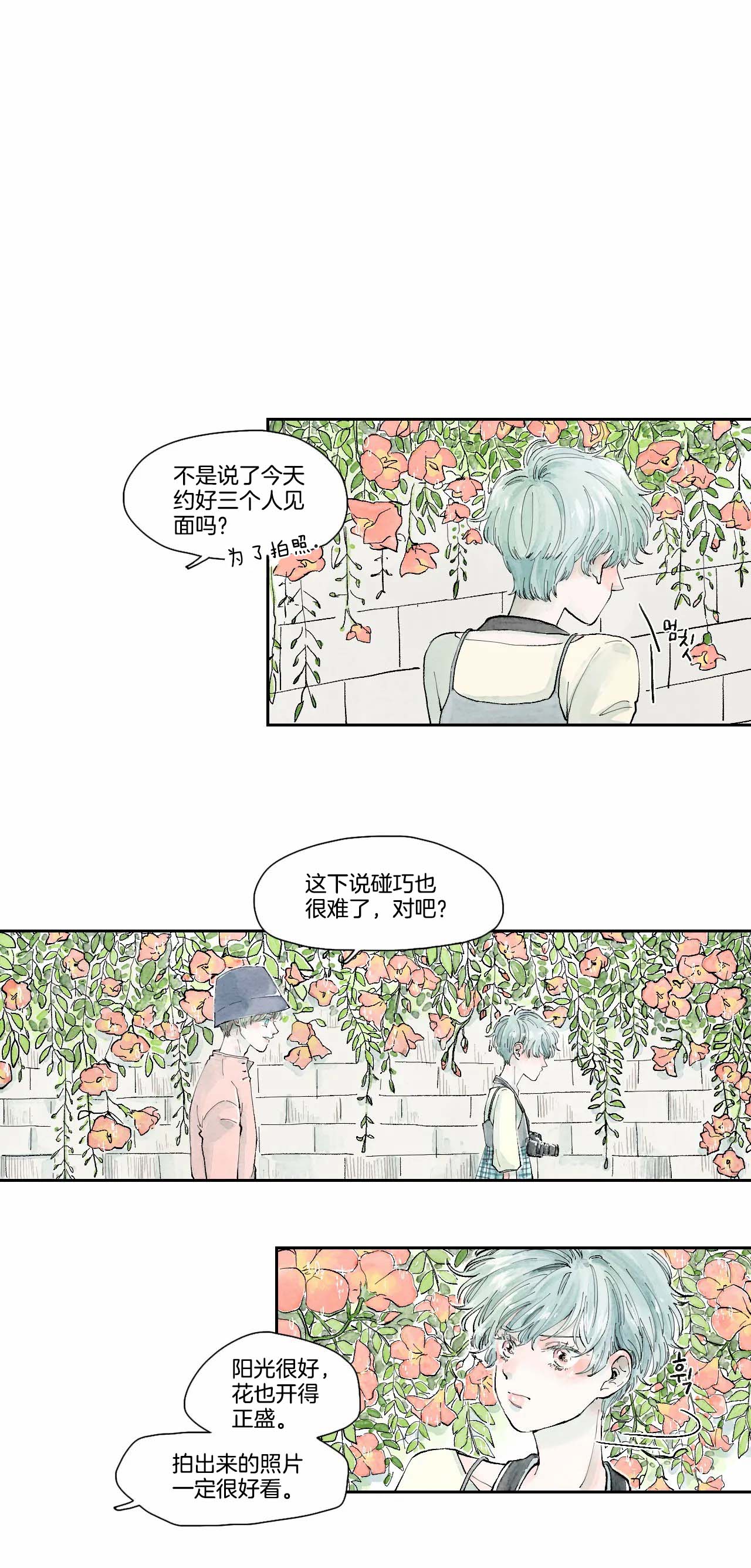 果实盛开的时间第12话图