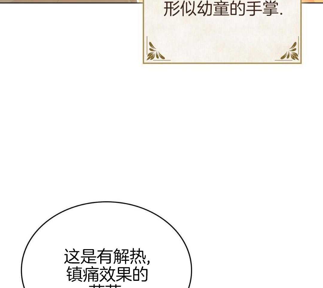 公爵的恶犬情人第67话图