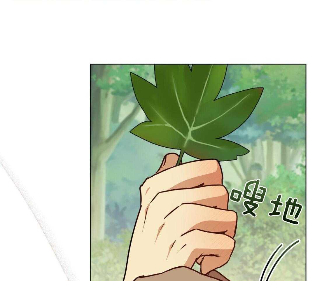 公爵的恶犬情人第67话图