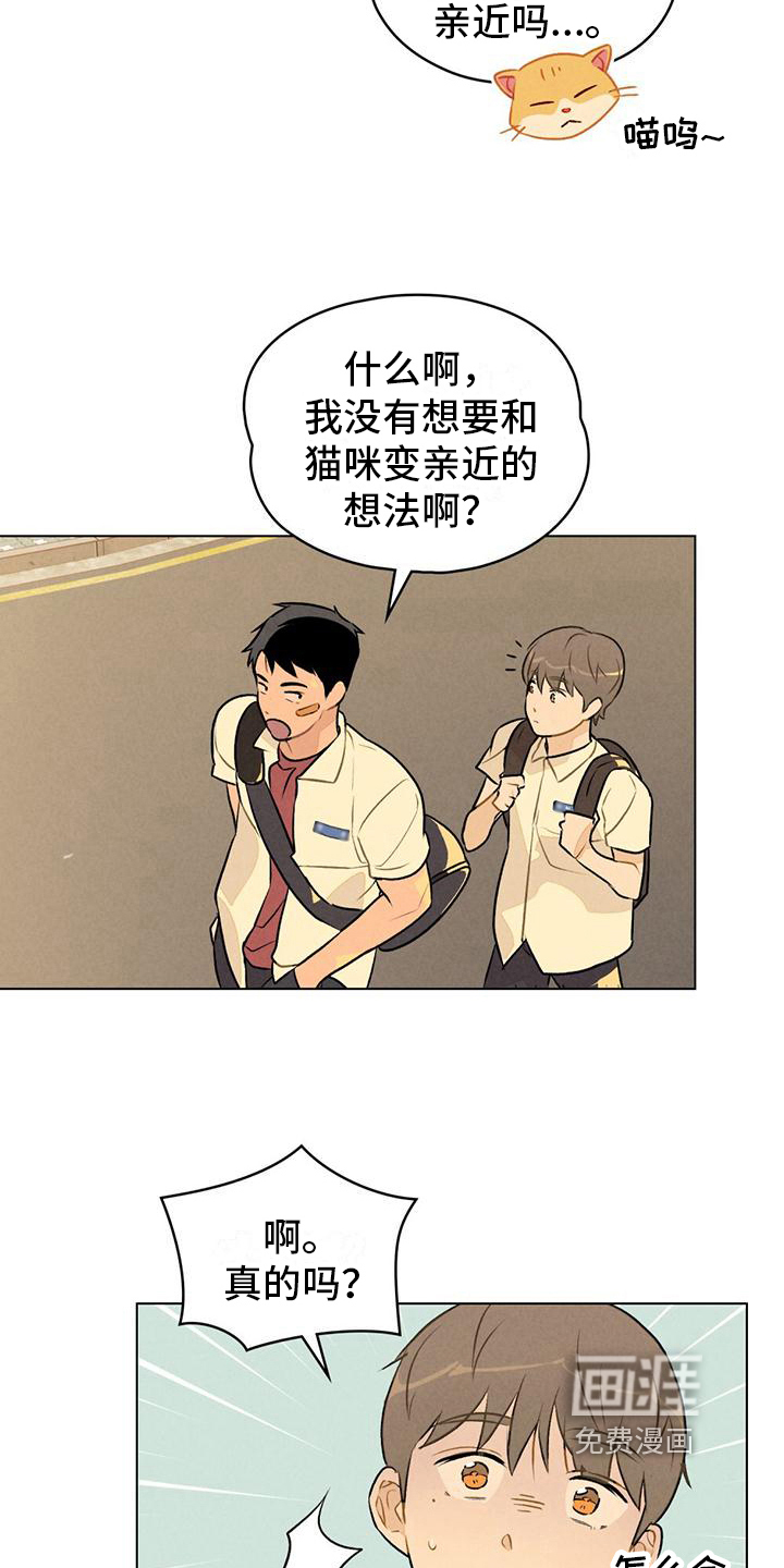 告白前夕第13话图